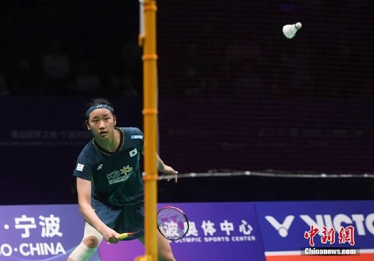 中提供了坚 中提供了坚