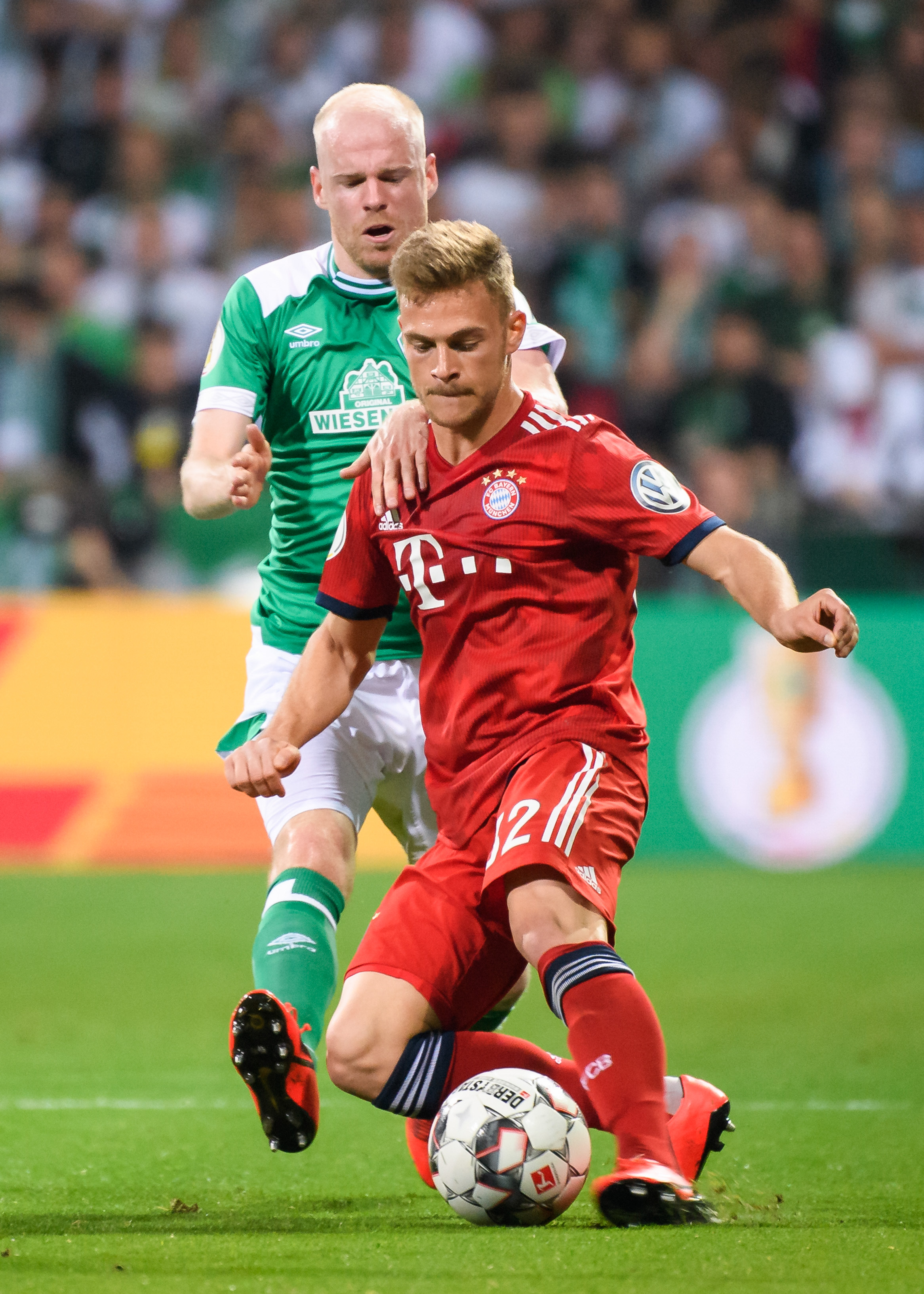 特别是在意 特别是在意